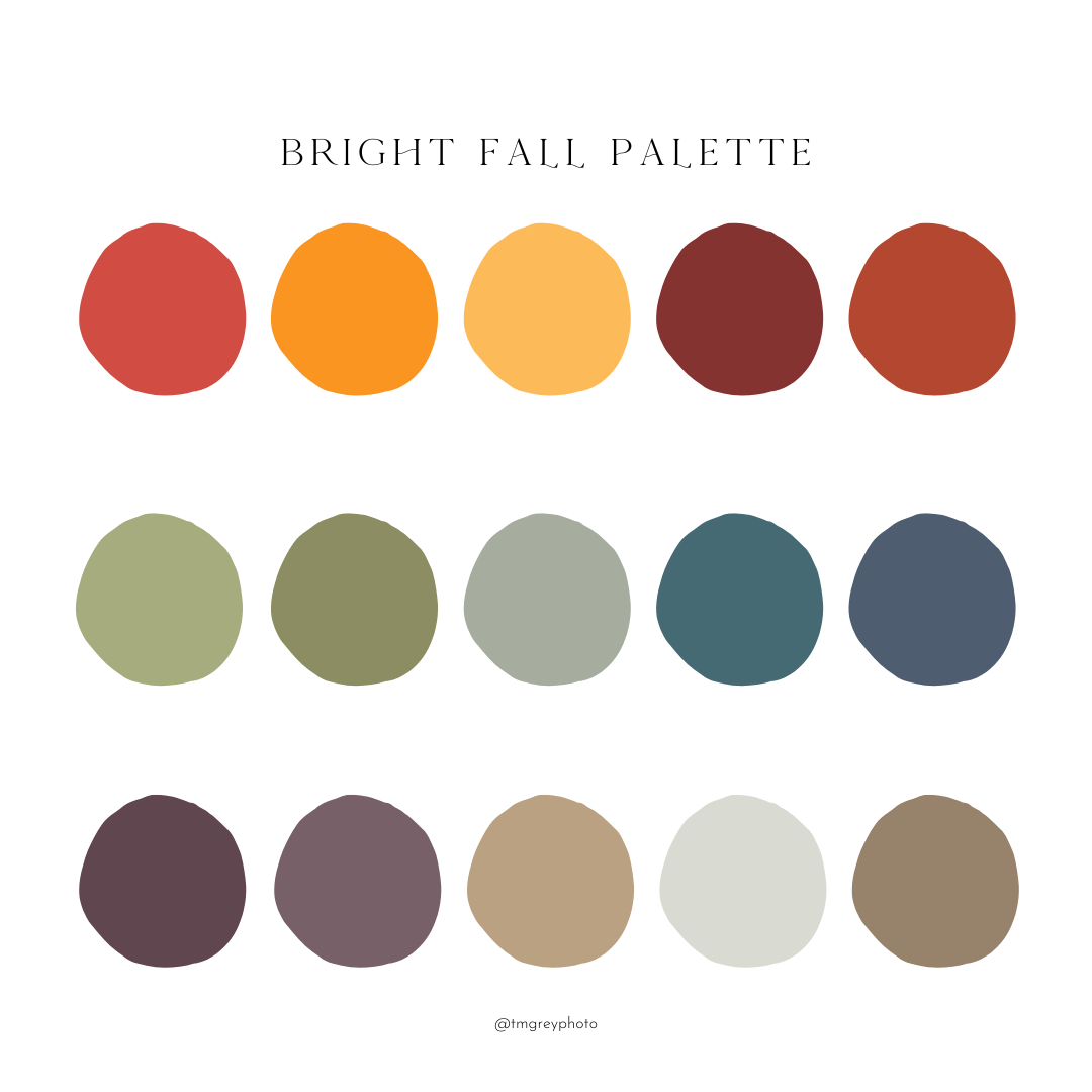 Picking the Best Color Palettes for Photos - TM Grey Photo